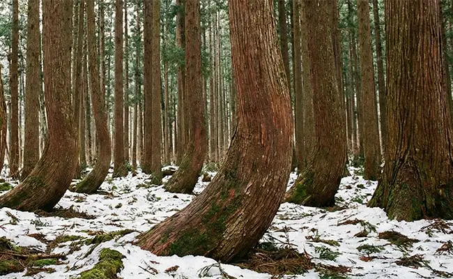 造りを表す写真