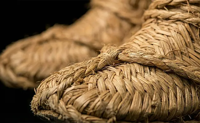 素材を表す写真