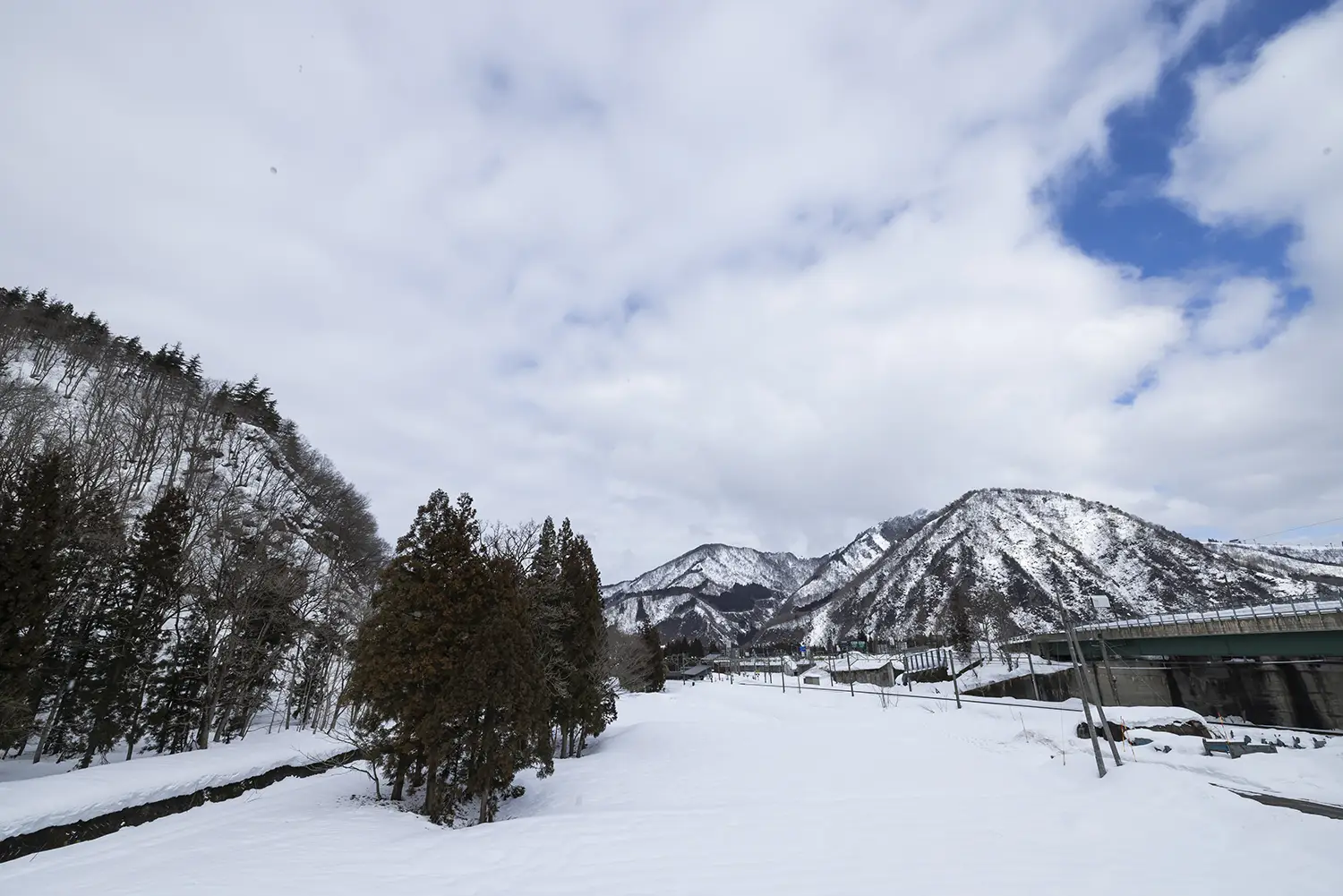 目利き力を表すイメージ